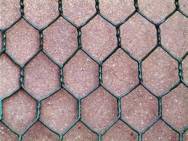 PVC-Coated Hexagonal Wire Mesh 
